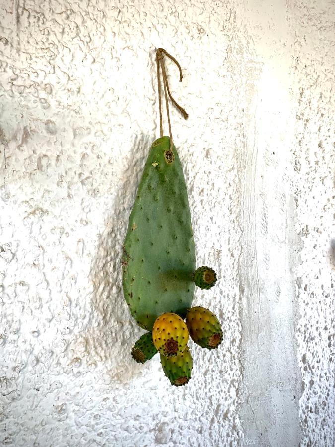 Al Pepe Nero - Casa In Campagna A Soli 5 Minuti Dal Mare Polignano a Mare Exterior foto