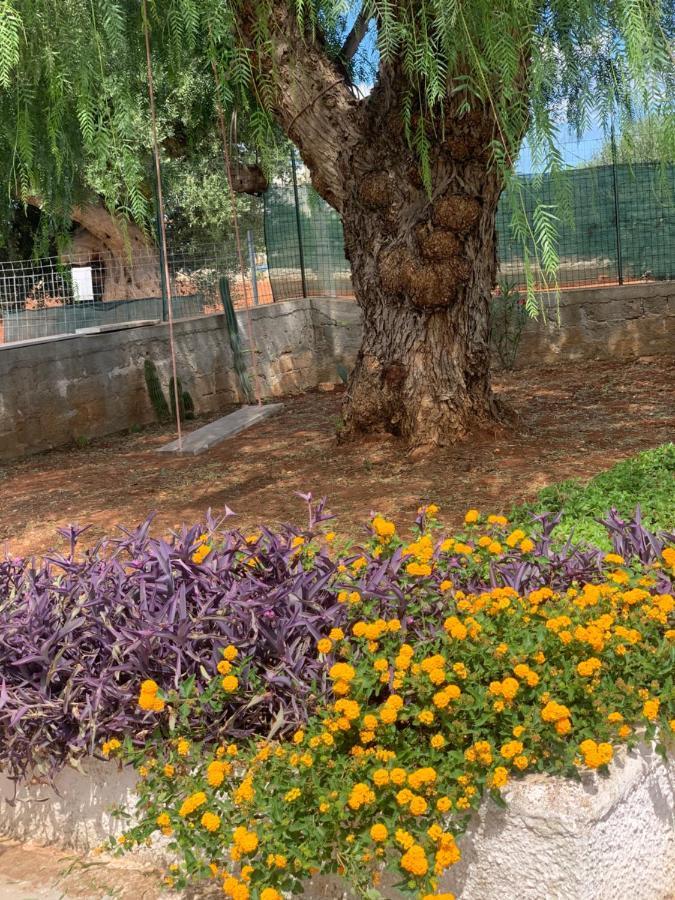 Al Pepe Nero - Casa In Campagna A Soli 5 Minuti Dal Mare Polignano a Mare Exterior foto